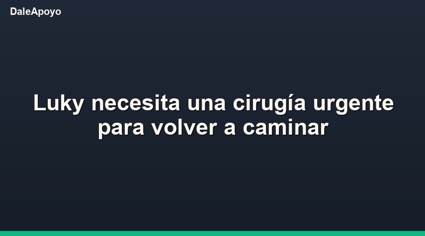 Luky necesita una cirugía urgente para volver a caminar
